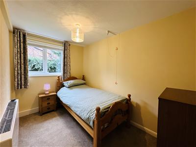 Picture 10